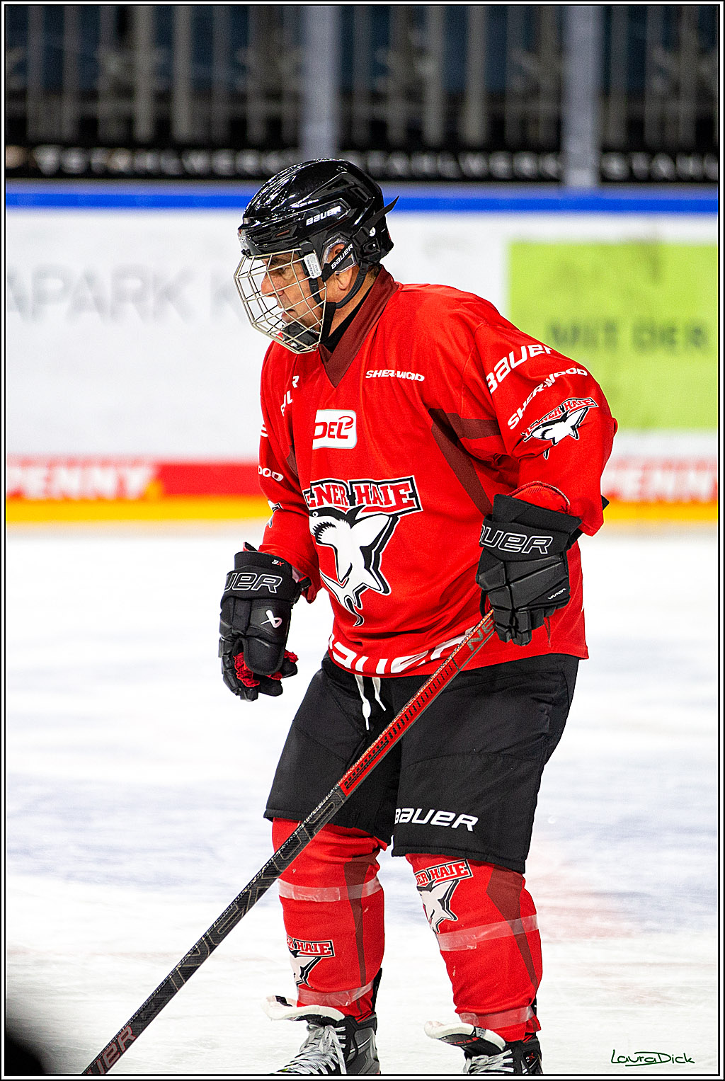 PENNY DEL; Koelner Haie- Red BUll Muenchen Sponsorenspiel; Koeln, 08.11.2022